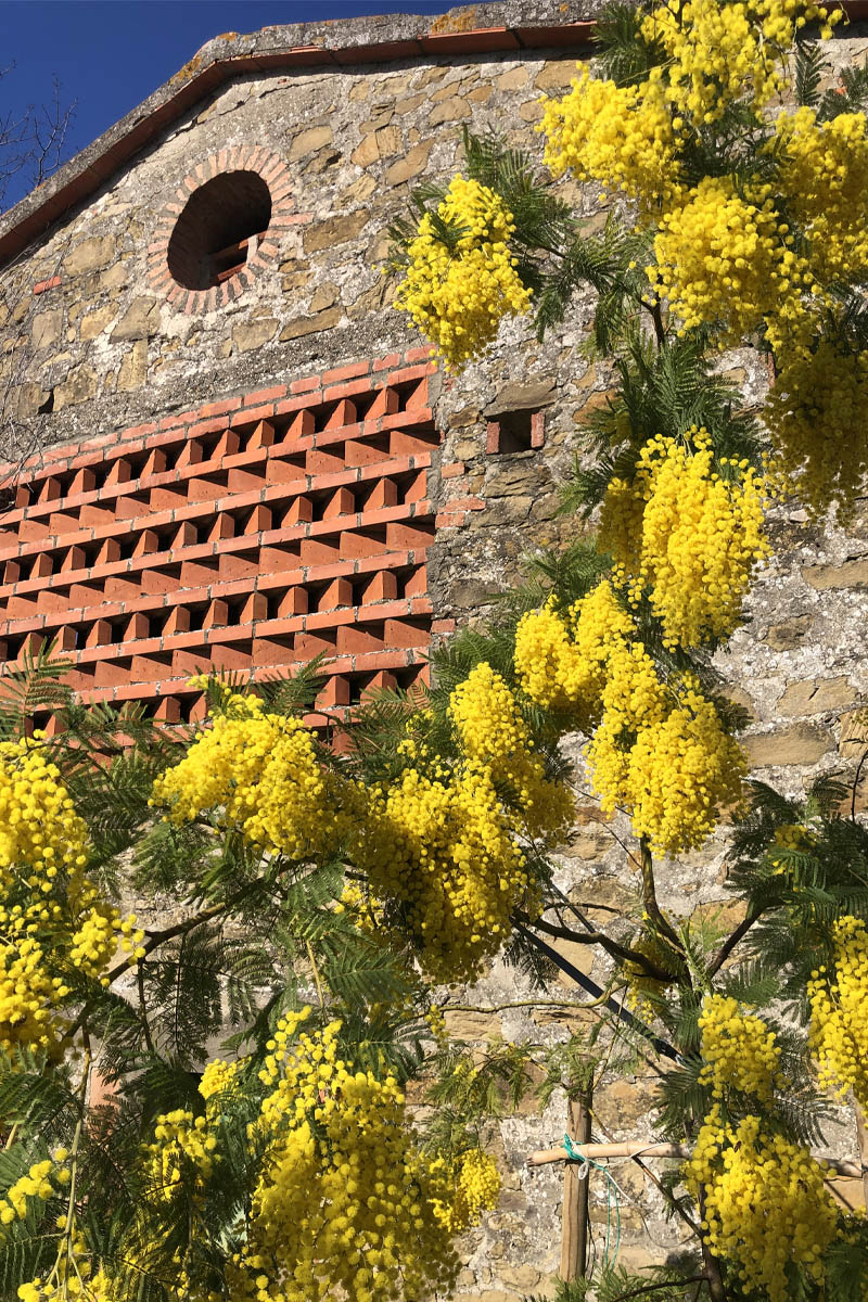 The Making Lab - Chianti Tuscany